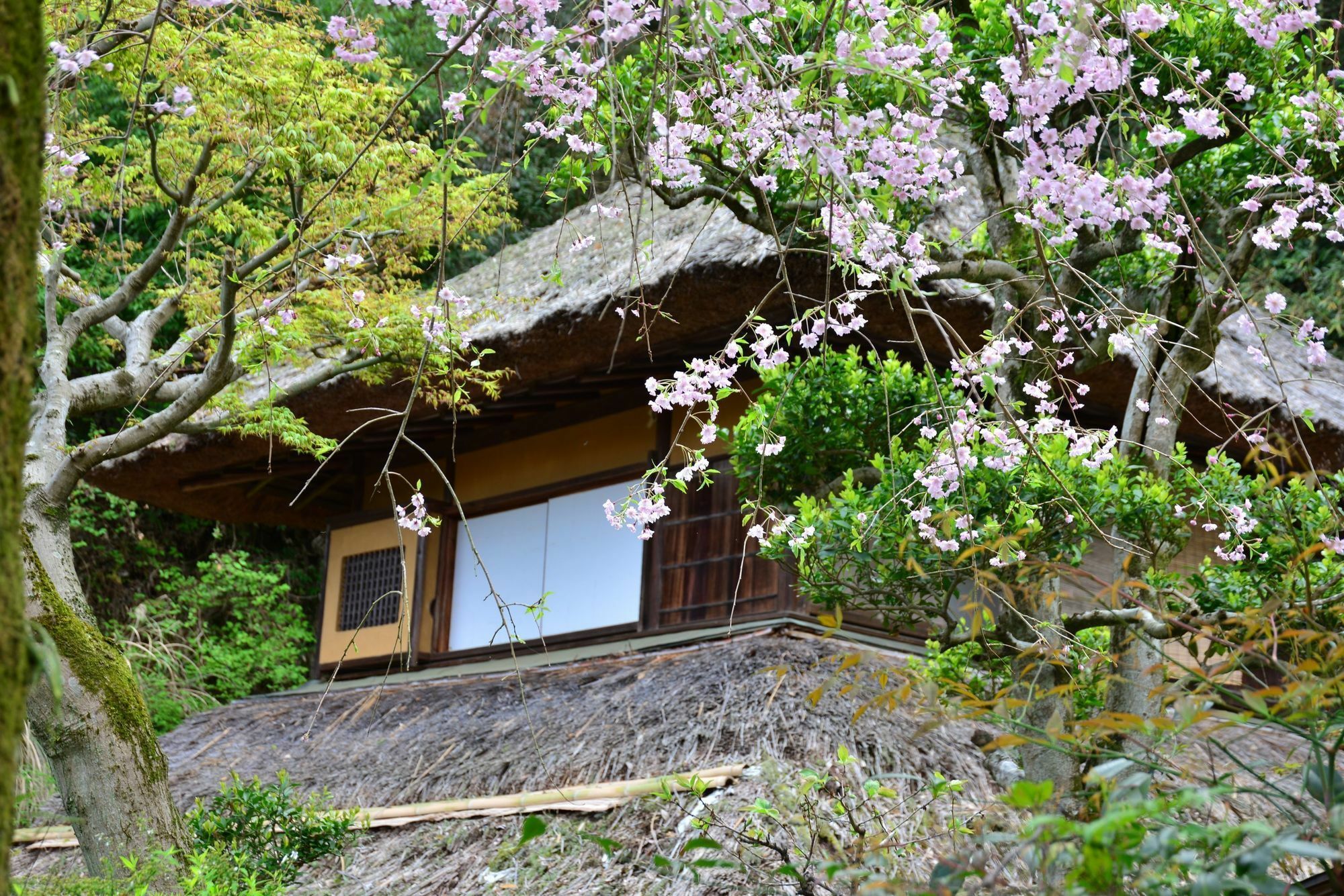 Kona Besso Hotel Izunokuni Exterior photo